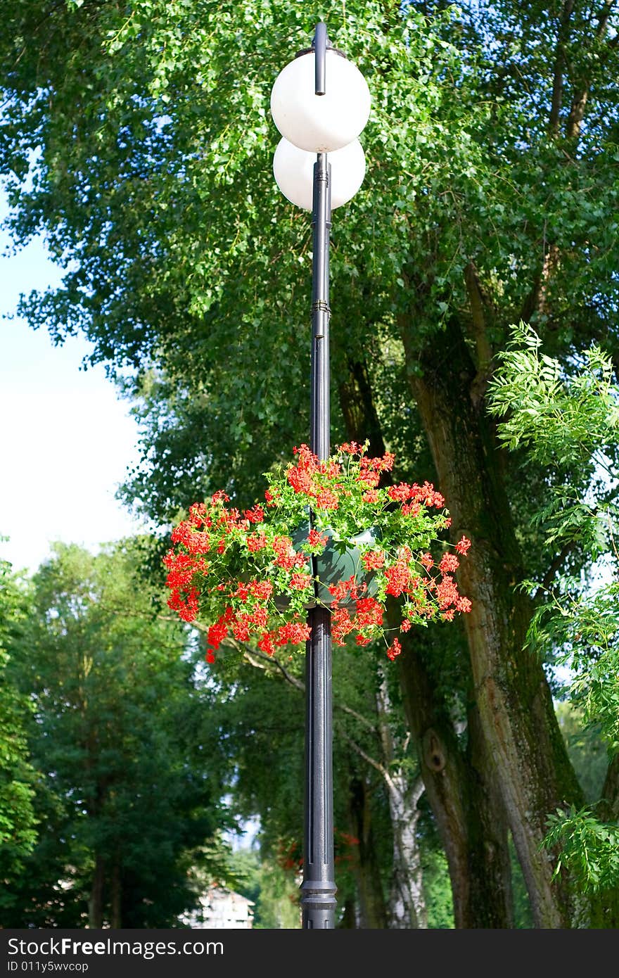 Lantern with the flowers