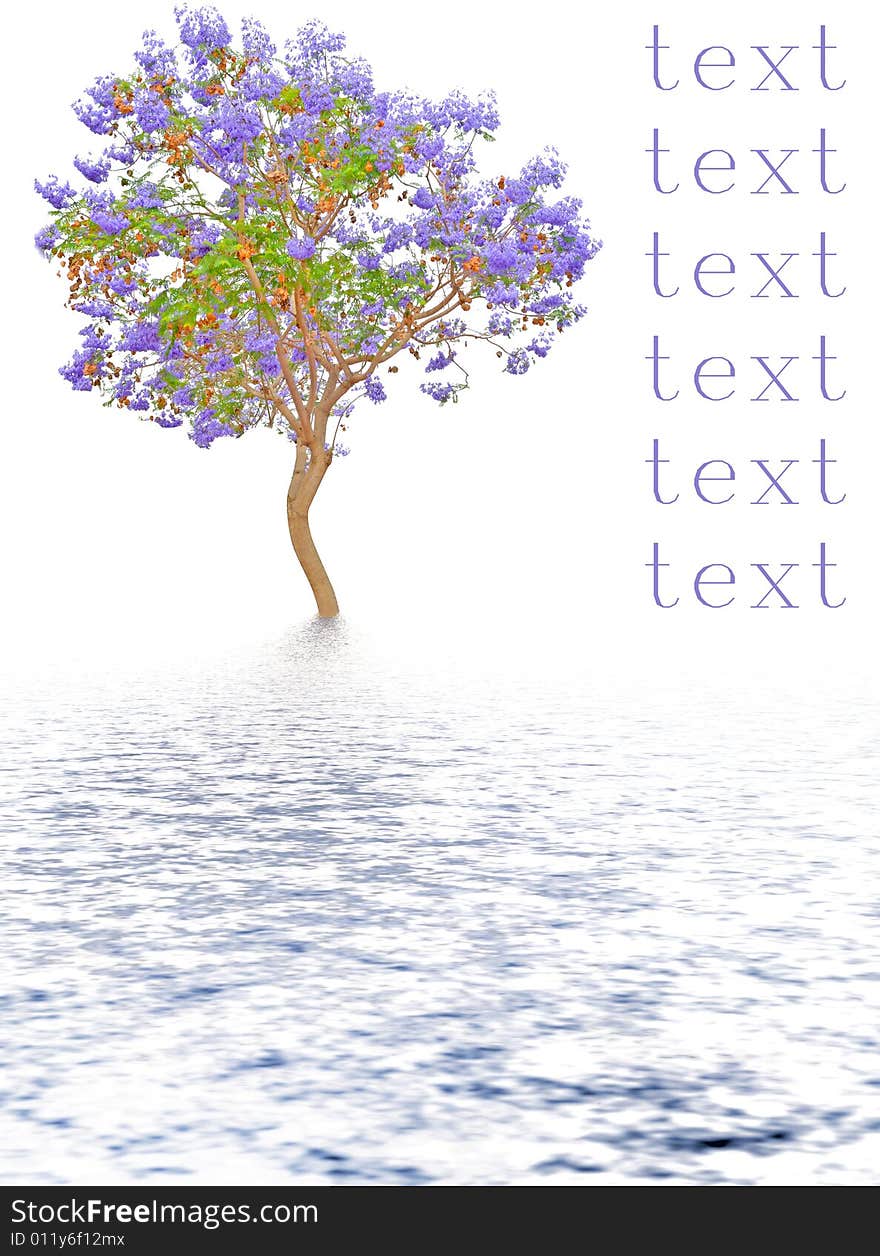 Isolated reflected tree with text