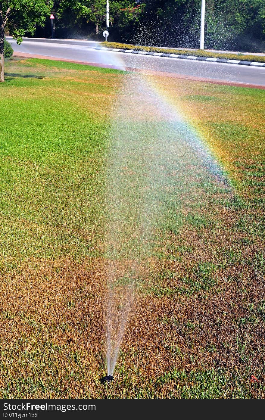 Rainbow on lawn