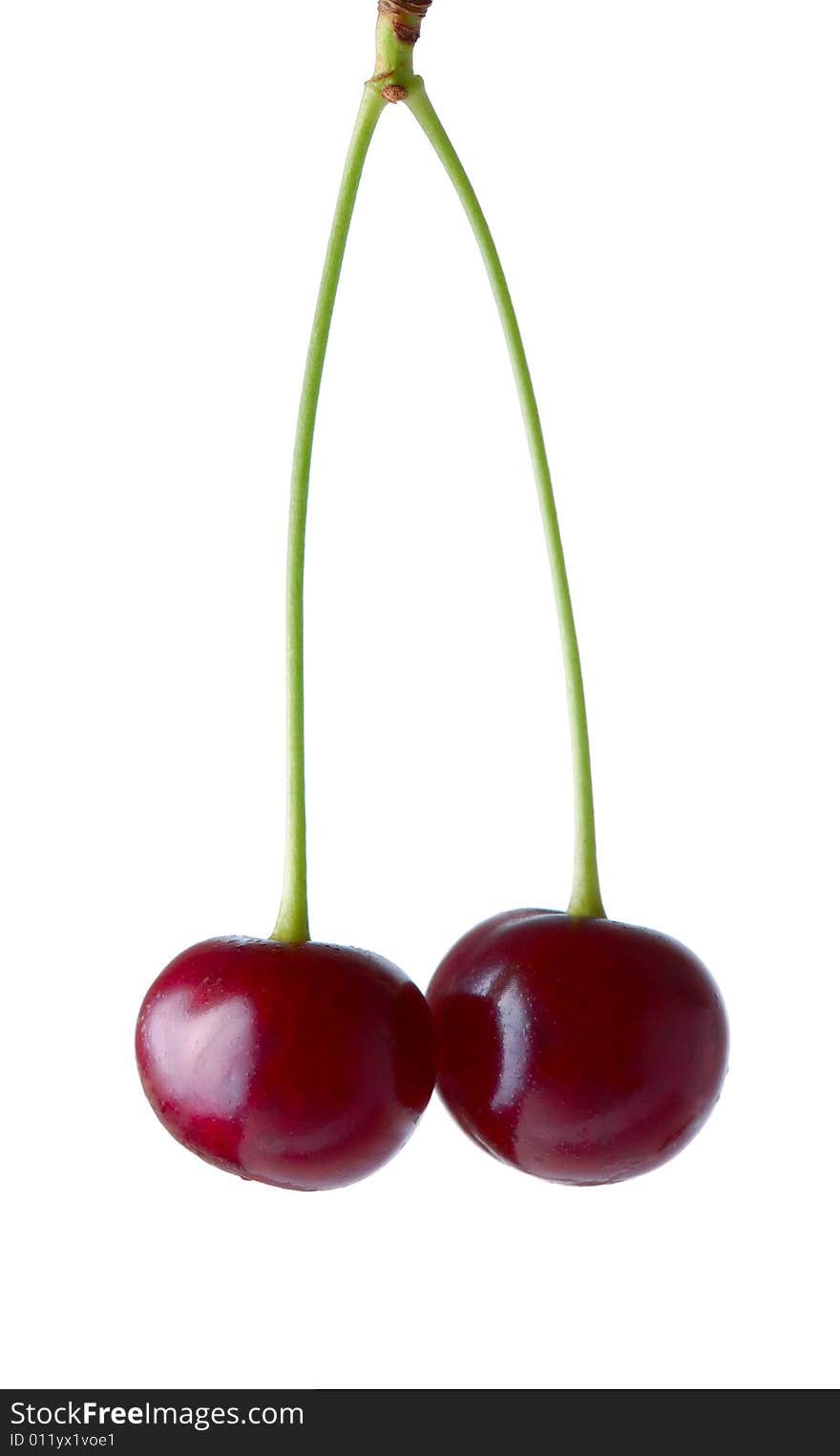 Two cherry isolated on white