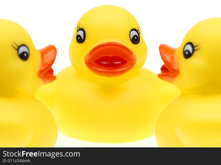 Small yellow plastic ducks