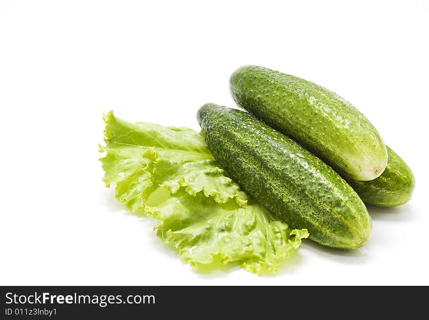 Clean isolated cucumbers on letucce. Clean isolated cucumbers on letucce