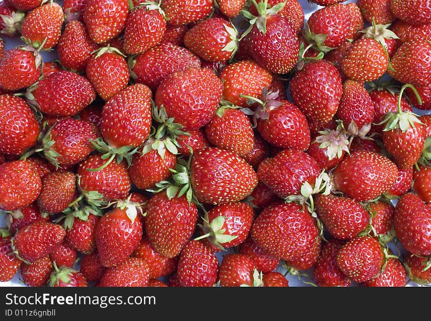 Red, ripe wild strawberry. Background.