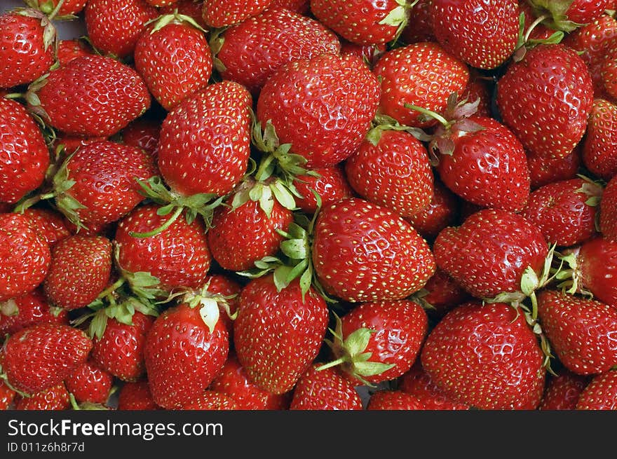 Red, ripe wild strawberry.  Background.