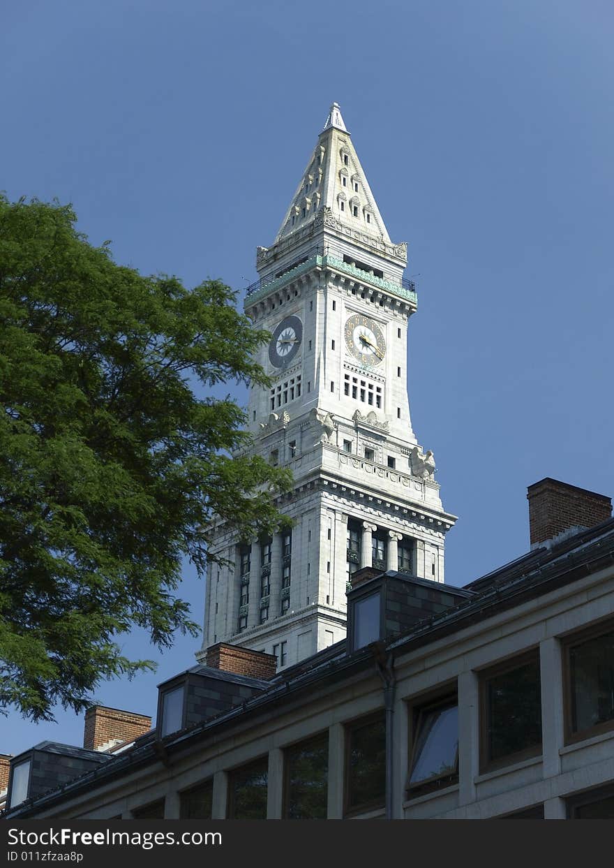 Historic Stone Church clocktower Tree