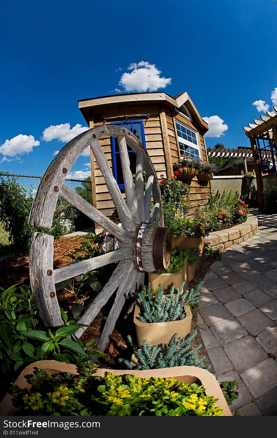 A beautiful backyard with shed and wagon wheel. A beautiful backyard with shed and wagon wheel