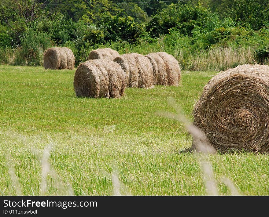 This is a shot of a Midwestern states hay field. The hay has been baled in a round fashion as opposed to rectangular. This is a shot of a Midwestern states hay field. The hay has been baled in a round fashion as opposed to rectangular.