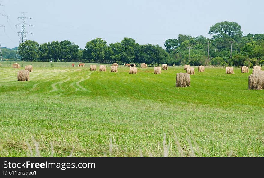 This is a shot of a Midwestern states hay field. The hay has been baled in a round fashion as opposed to rectangular. This is a shot of a Midwestern states hay field. The hay has been baled in a round fashion as opposed to rectangular.