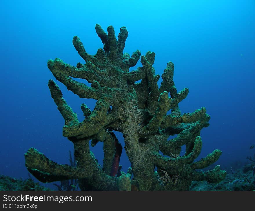 This image was taken off the beach in Pompano beach, Florida. This image was taken off the beach in Pompano beach, Florida.