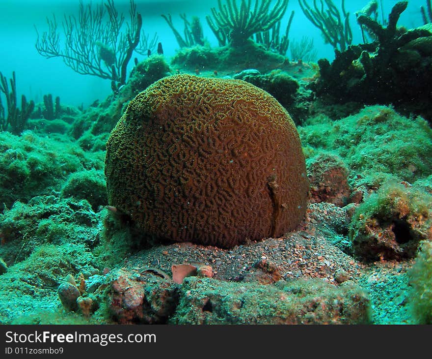 This image was taken off the beach in Pompano beach, Florida. This image was taken off the beach in Pompano beach, Florida.