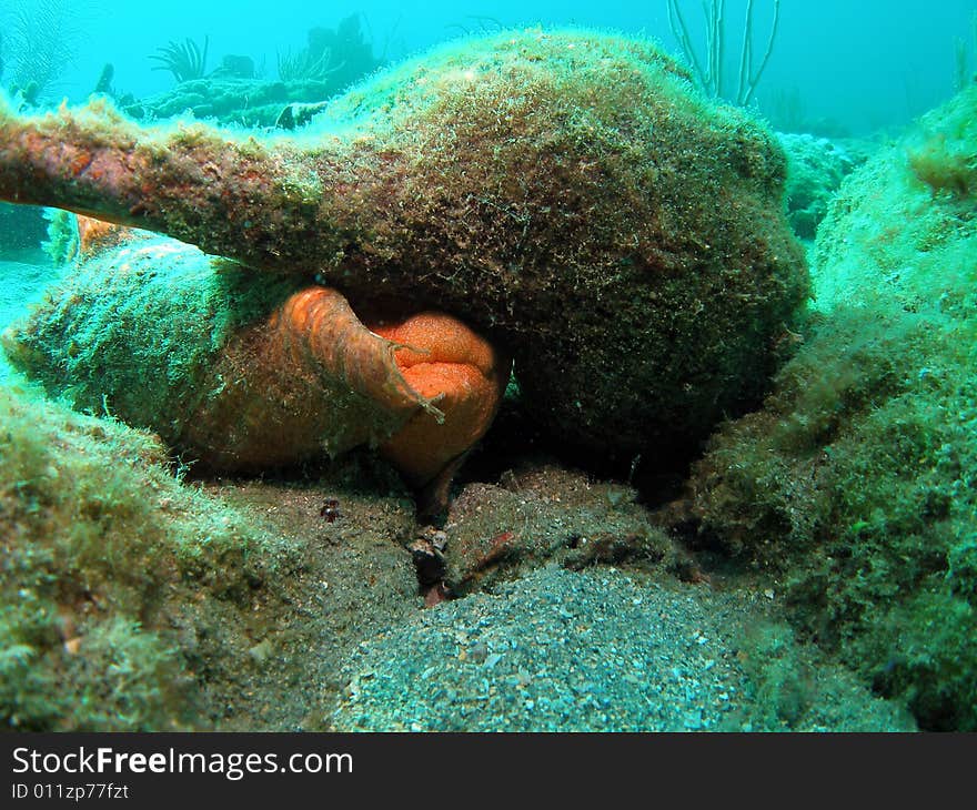 This image was taken off the beach in Pompano beach, Florida. A place called 12th street. This image was taken off the beach in Pompano beach, Florida. A place called 12th street.