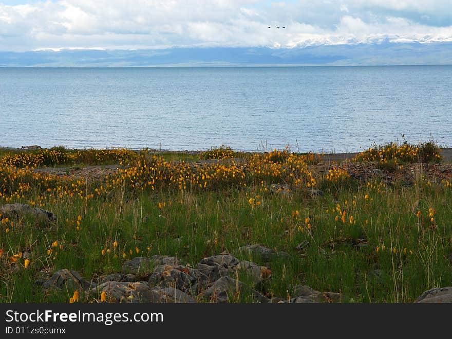 Qinghai Lake - the island of sand