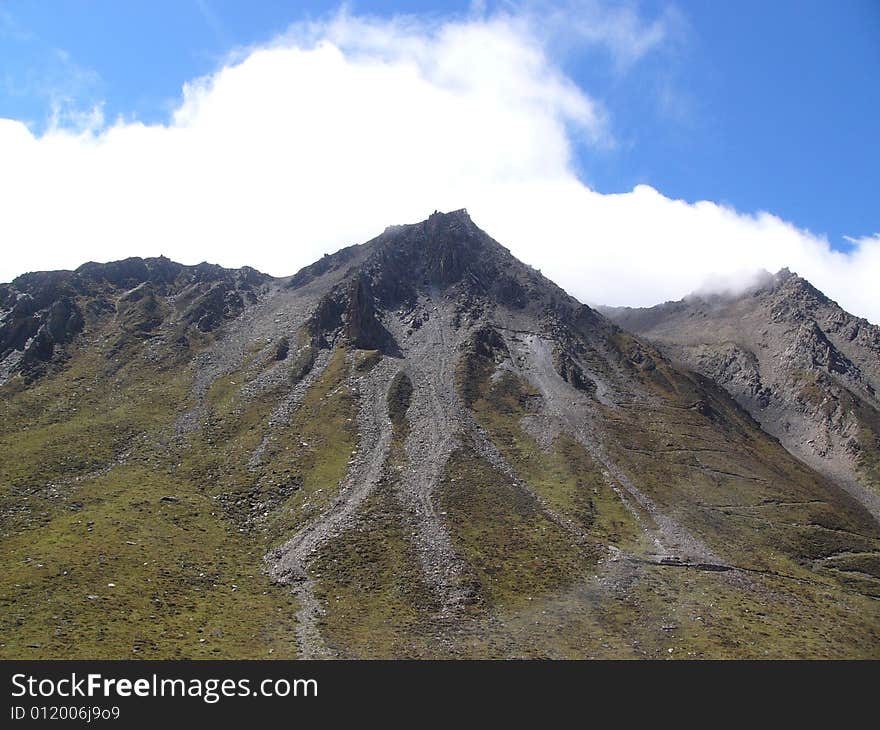 Gray mountain covered by green gradually.