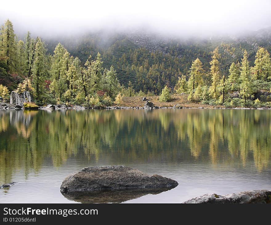 The inverted reflection of the colourful trees drawing an amazing picture in the lake. The inverted reflection of the colourful trees drawing an amazing picture in the lake.