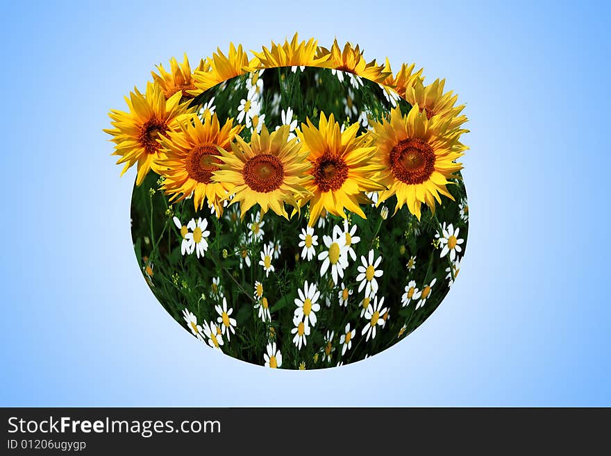 An image of earth with yellow sunflowers