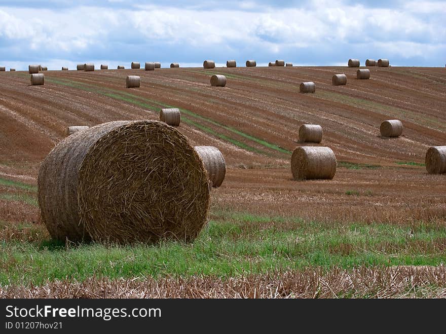 Straw roll on the field