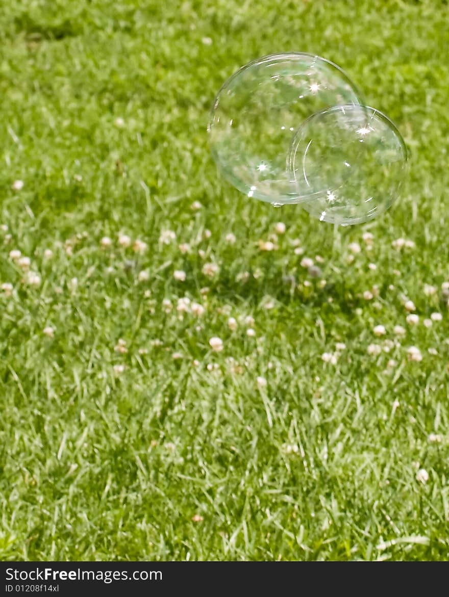 Bubbles floating along grass shining in sunlight