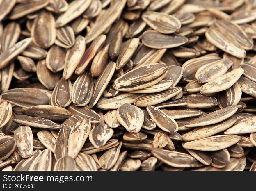 Sunflower Seeds