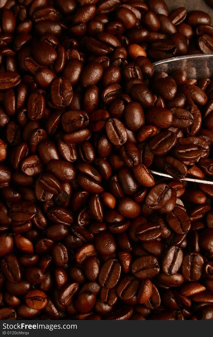 Coffee beans and scoop