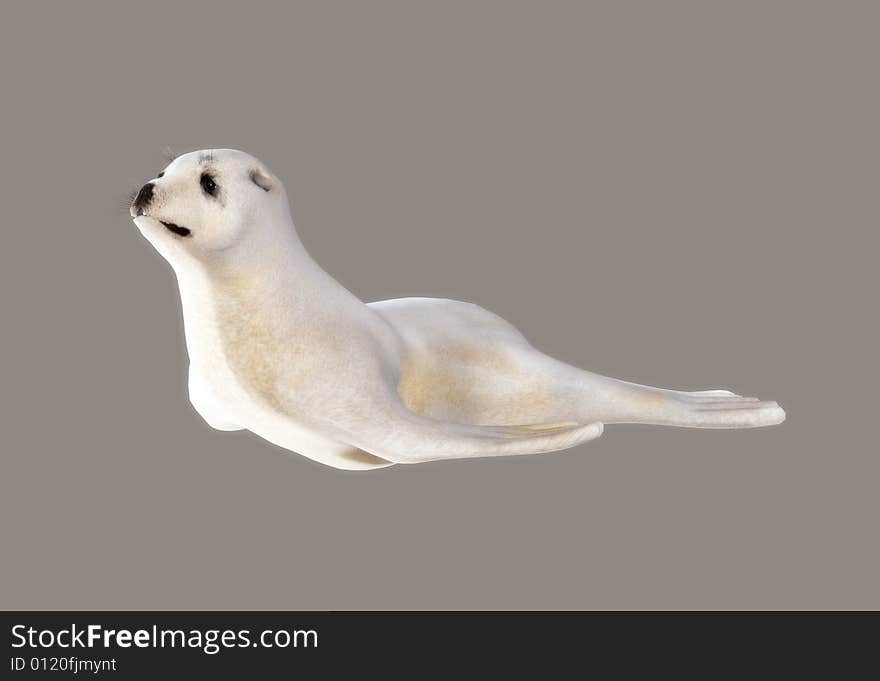 Seal