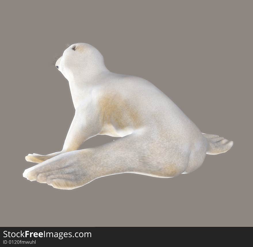 Seal