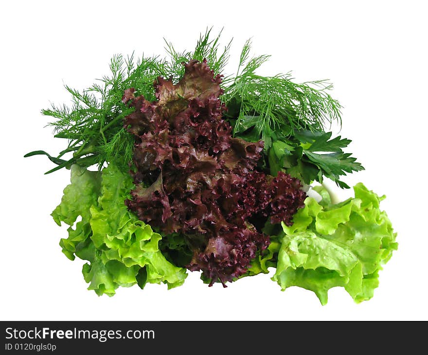 Vegetables on a white background. Vegetables on a white background