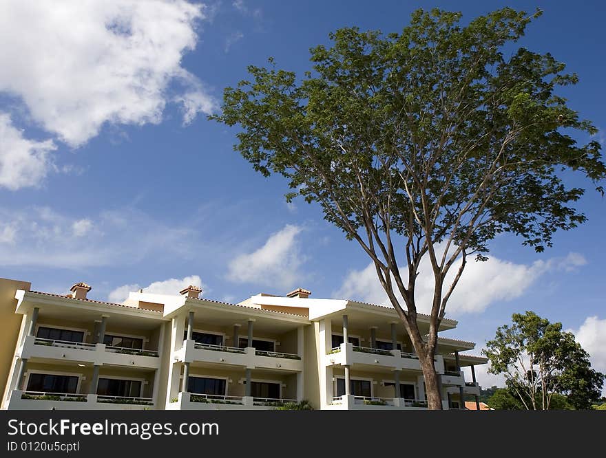 Resort and Tree