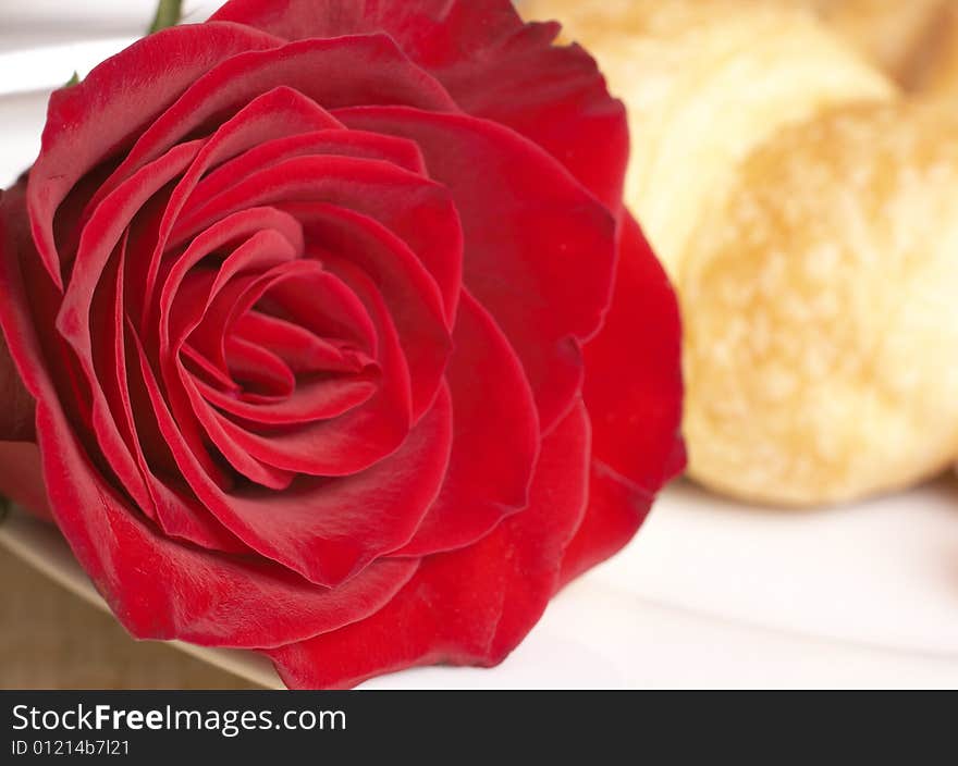 Macro shot of single red rose on white plate with fresh croissant at the back. Macro shot of single red rose on white plate with fresh croissant at the back