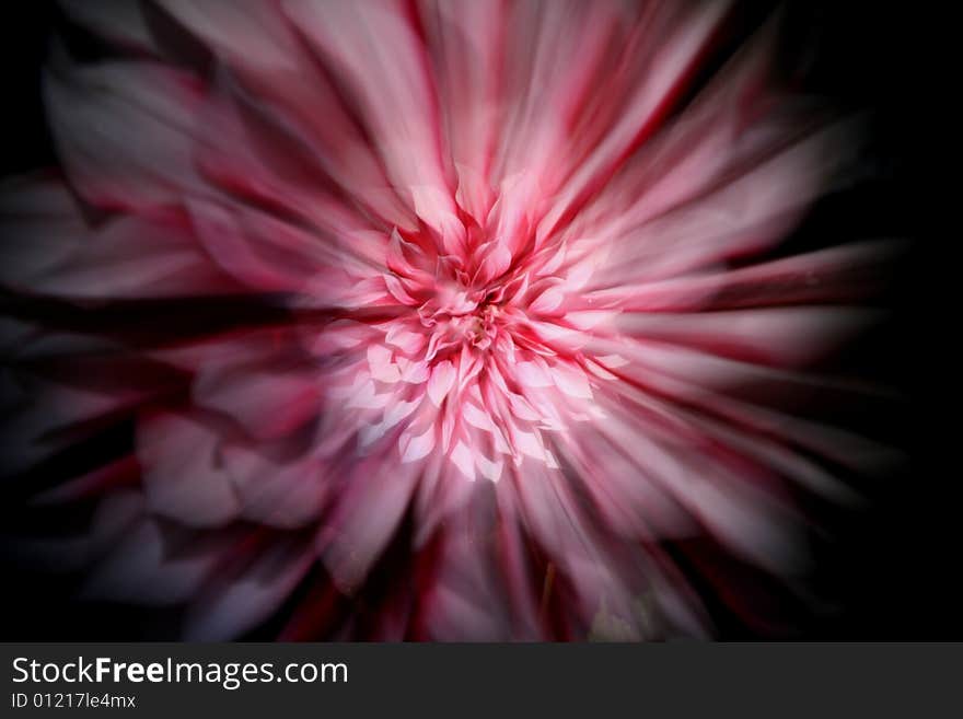 Star-like zoomed while exposure dahlia flower photo. Star-like zoomed while exposure dahlia flower photo