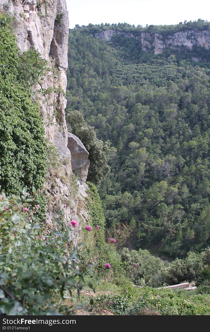 A rock face and forest in Provence. A rock face and forest in Provence