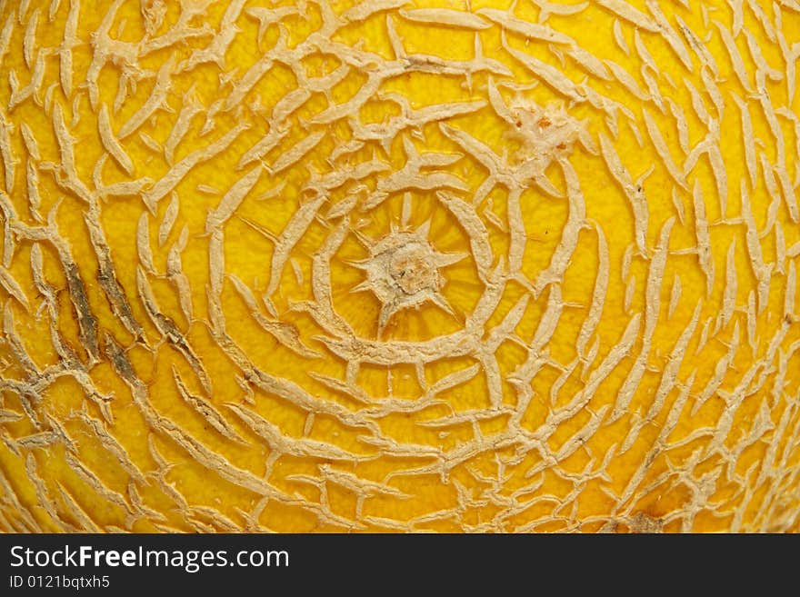 Texture Of Melon Skin