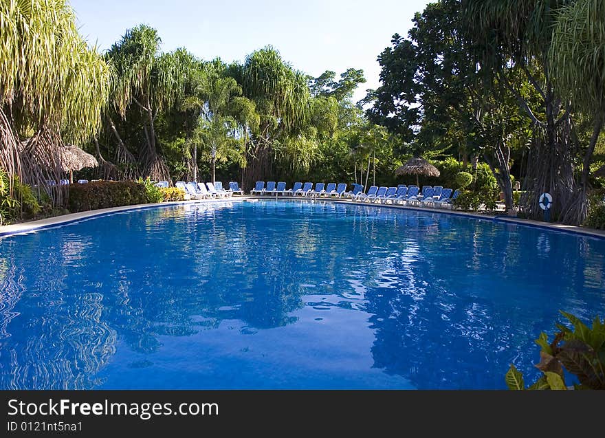 Blue swimming pool and blue chaise lounges in a tropical setting. Blue swimming pool and blue chaise lounges in a tropical setting