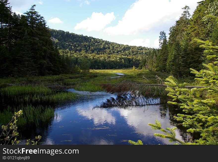 View of the Adirondack Mountains in a Clearing. View of the Adirondack Mountains in a Clearing