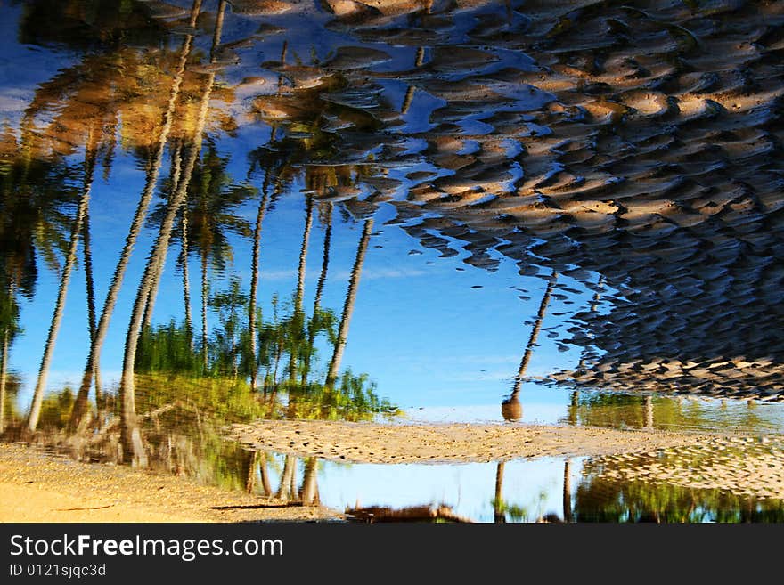 This photo was taken on a beautiful beach of the Brazilian coast. In this picture tried to capture the image reflected in seawater. She has been reversed. This photo was taken on a beautiful beach of the Brazilian coast. In this picture tried to capture the image reflected in seawater. She has been reversed.