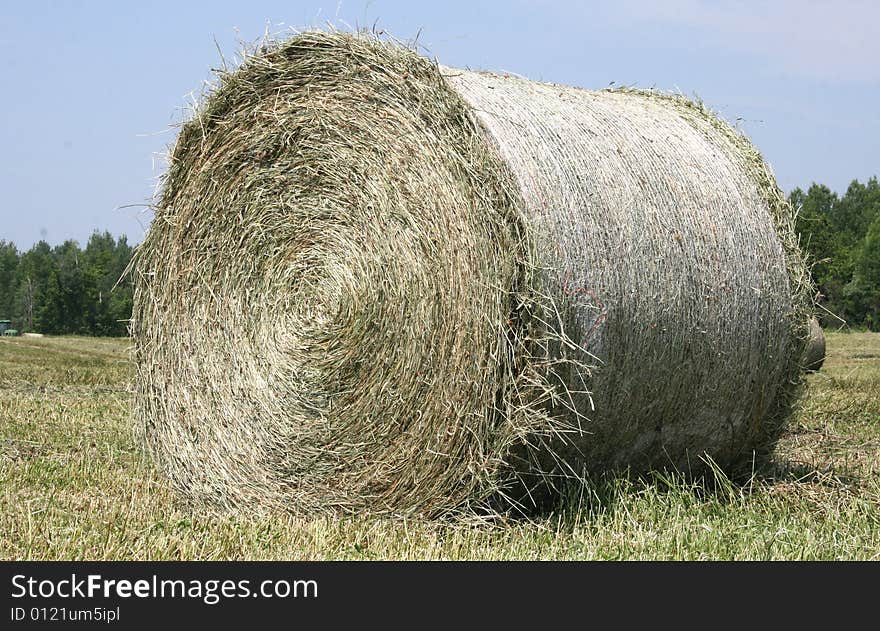 A round bale of hay newly harvested is sitting in the sun drying out