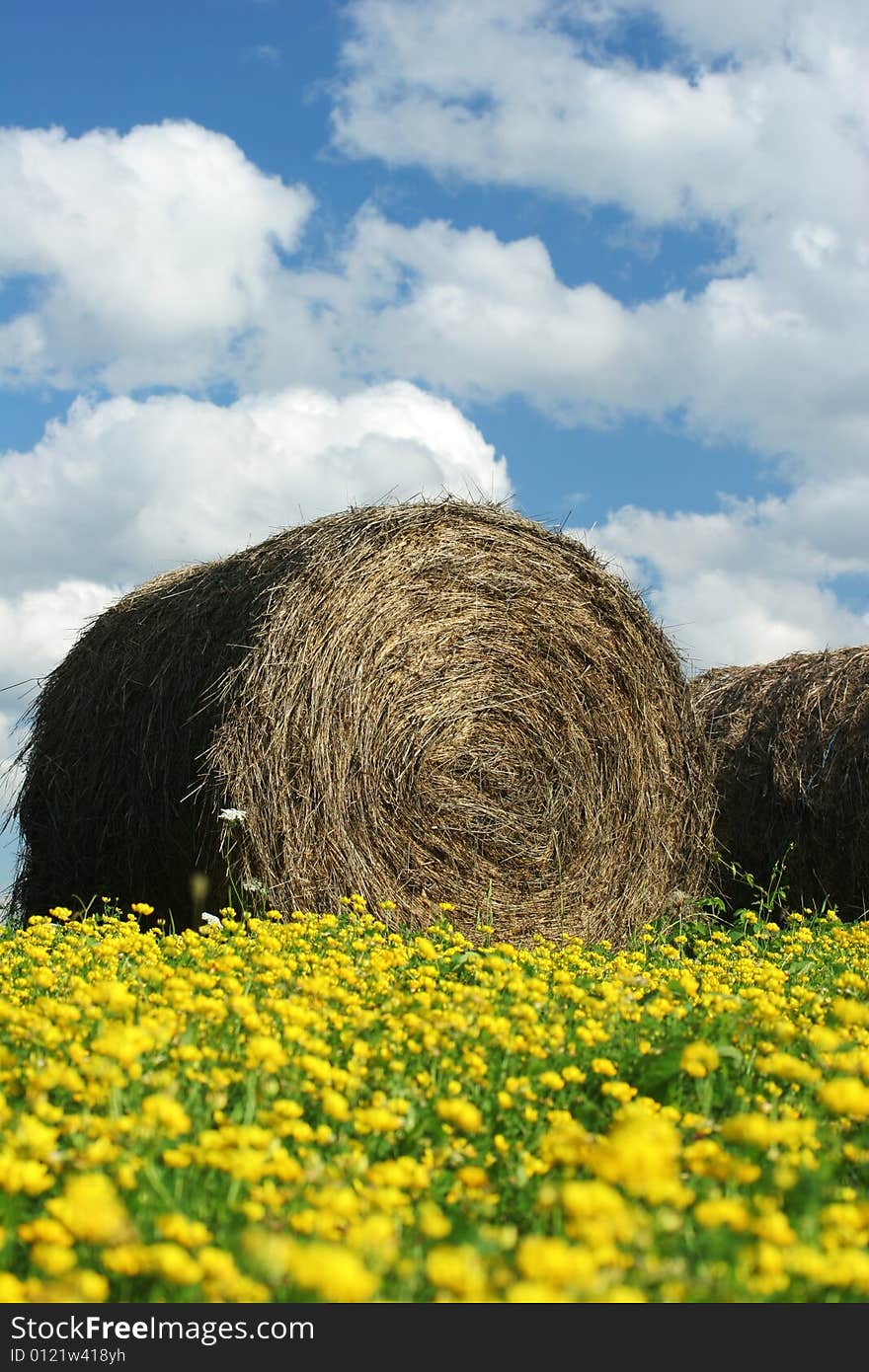 Round Hay Bale In Field