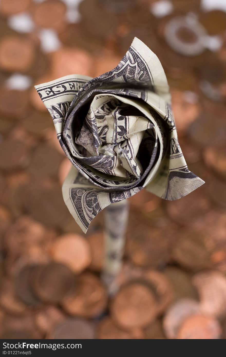 A paper dollar bill rose top view with coin background. A paper dollar bill rose top view with coin background