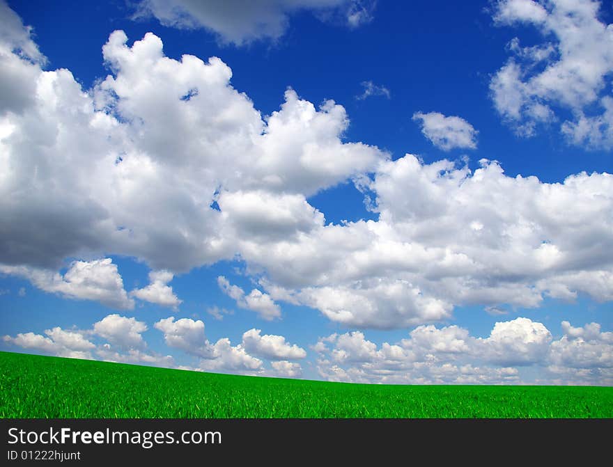 Field on a background of the blue sky. Field on a background of the blue sky