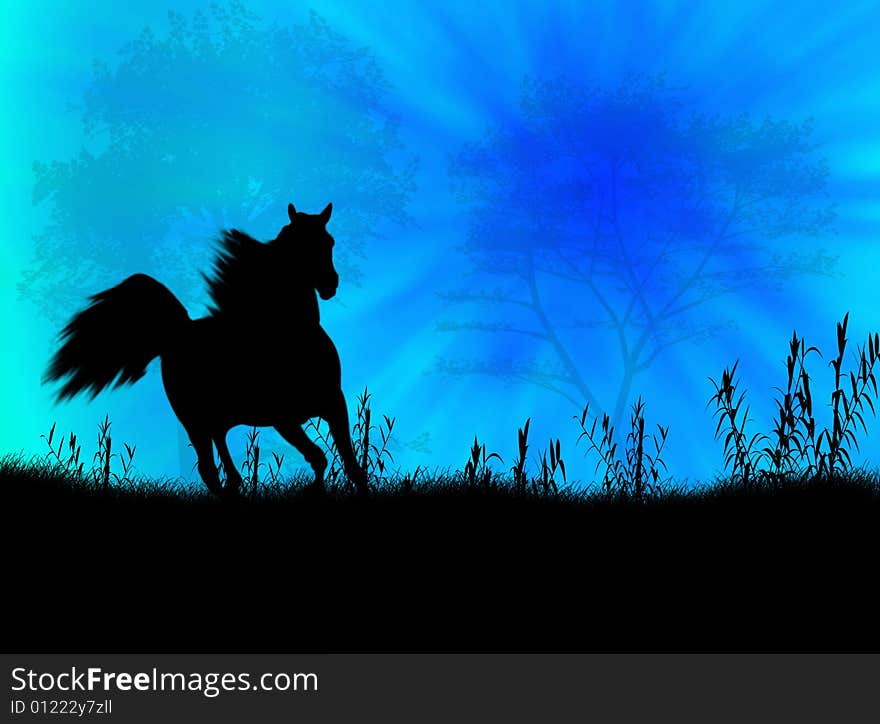 Black wild horse against a colorful sunset. Black wild horse against a colorful sunset