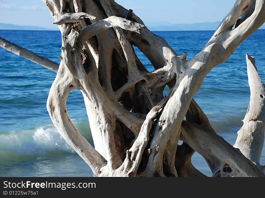 A beauty beach at Dilek yarimadasi (Kalamaki) national park in Turkey. A beauty beach at Dilek yarimadasi (Kalamaki) national park in Turkey