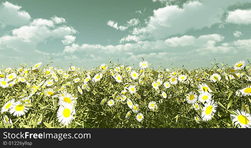 Beautiful flowers