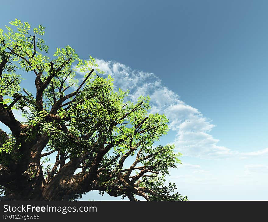 Beautiful cloudscape with tree. 3d image