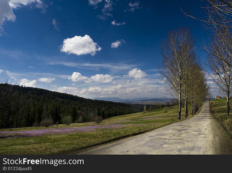 Road, big forest, meadow and blue sky. Road, big forest, meadow and blue sky