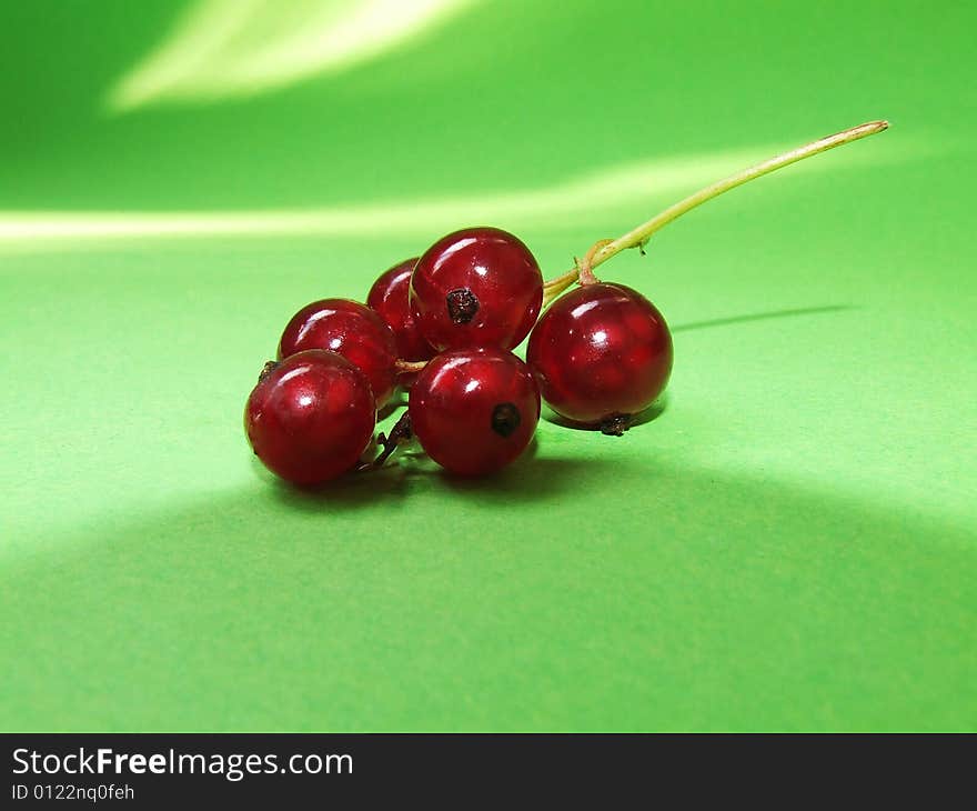 Red currant