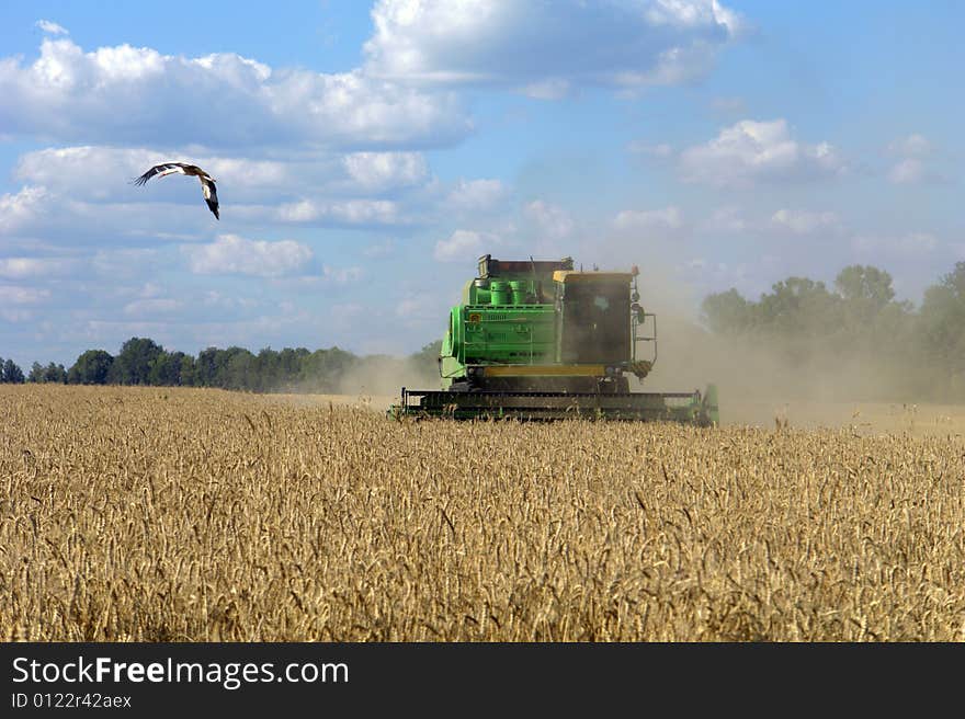 Combine on a background of a field