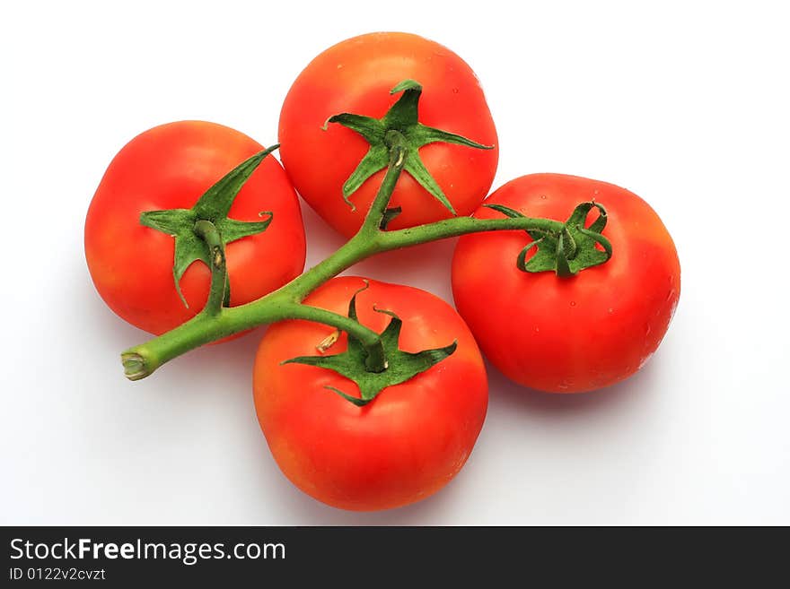 Four red tomatoes on the stem, shot in studio on white, concept of freshness and purity. Four red tomatoes on the stem, shot in studio on white, concept of freshness and purity