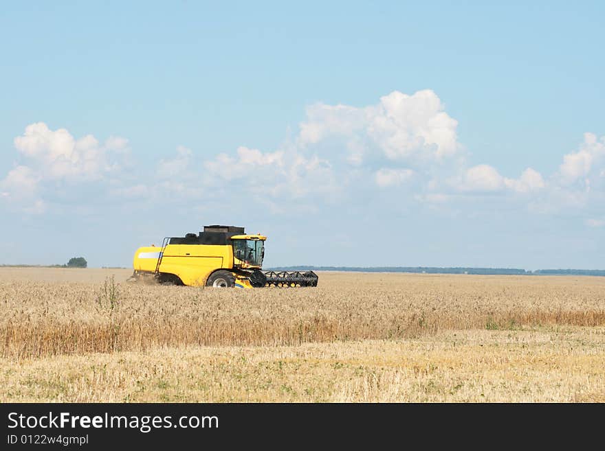 The beginning of harvesting on a wheaten field