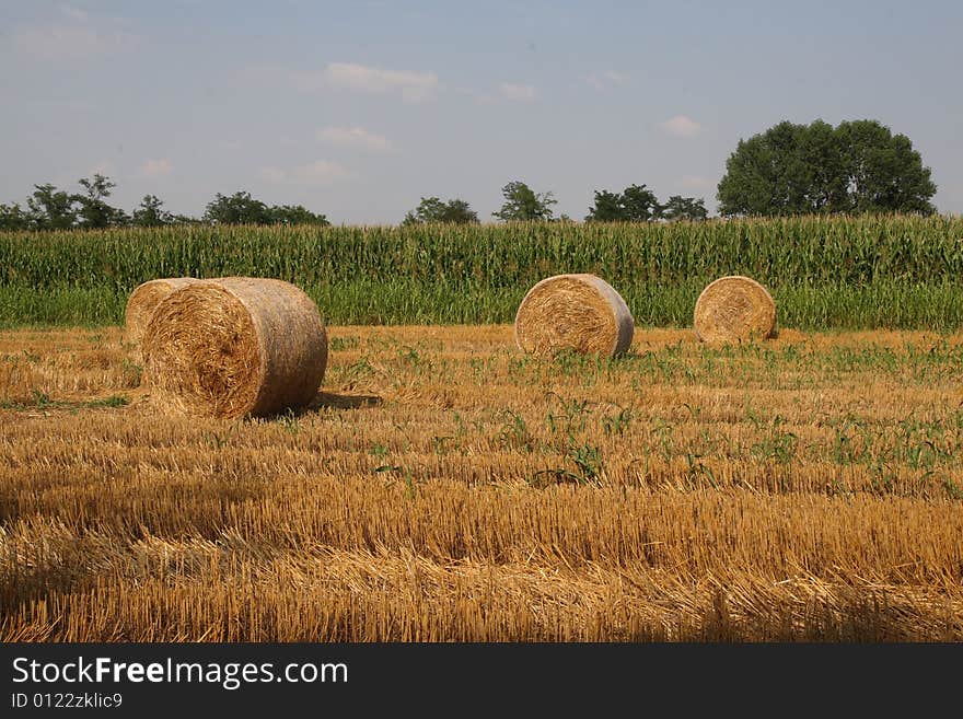 Hay Bales