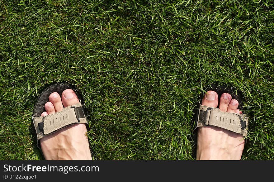 Foot in sandals on the grass