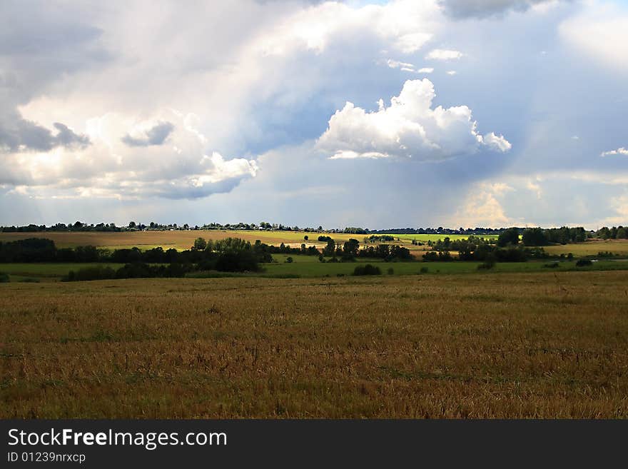 A field shined with sun, in sky clouds, in the distance a horizon line are visible. A field shined with sun, in sky clouds, in the distance a horizon line are visible